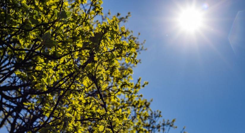 Visszatér a kánikula: 36 fokkal indít a hét második fele
