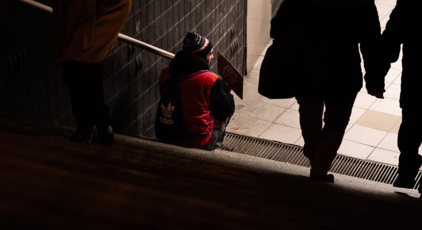 Eredetileg a DK ötlete volt, hogy a kormány tiltsa be a kutyás koldulást