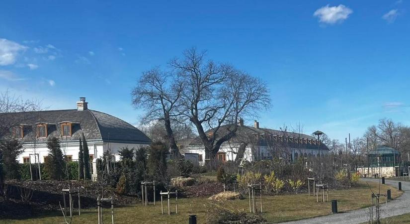 Magyar Péter: Hatvanpuszta az orbáni korrupció szimbóluma lett