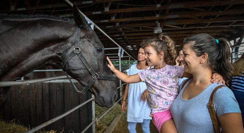 Megnyitott Debrecenben a Farmer Expo, ezekkel a programokkal várnak mindenkit
