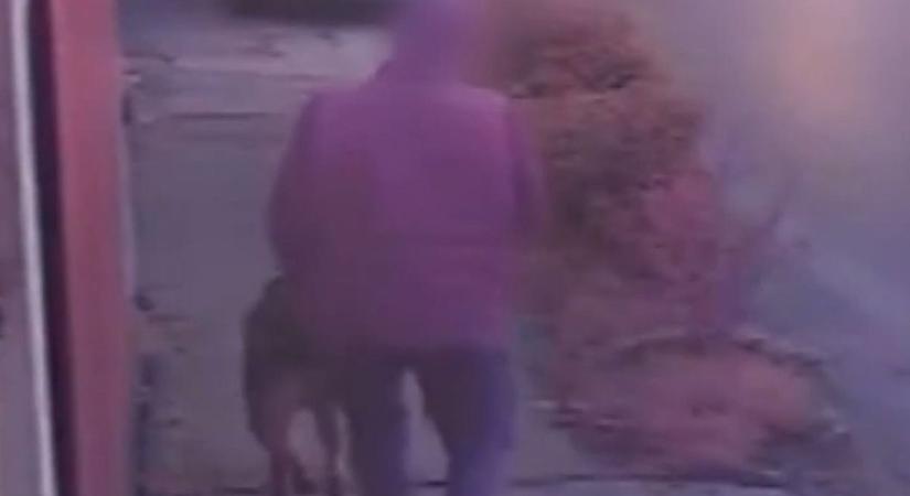 Kamera vette fel a gyöngyösi férfi gonosz tettét – megdöbbentő videó