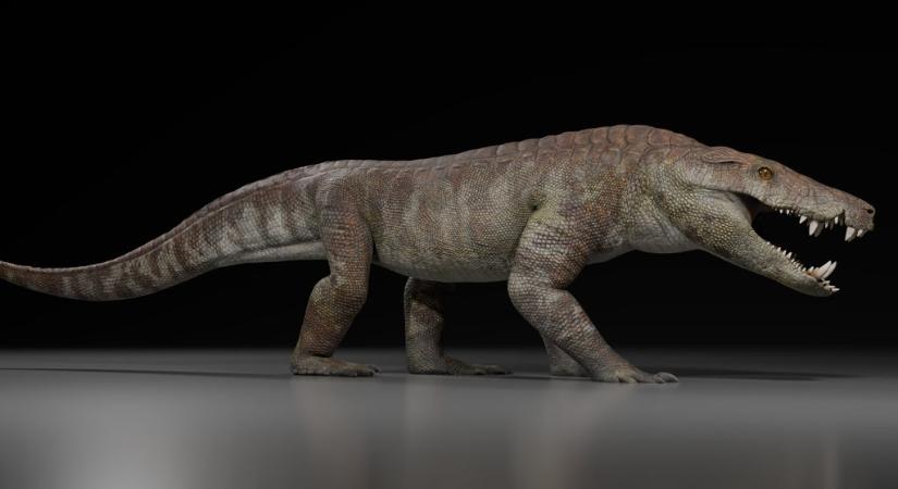Sosem látott ragadozót fedeztek fel Argentínában, akár dinoszauruszokra is vadászhatott