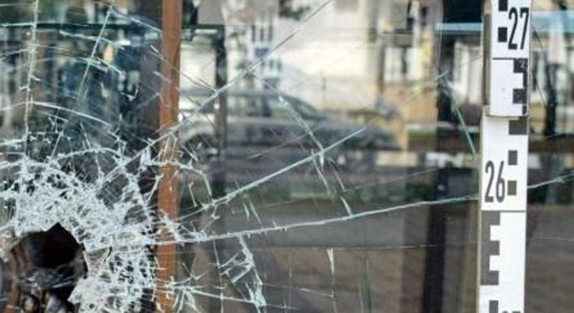 A padláson lapult, majd rátört az idős nőre – így támadt a sályi rém