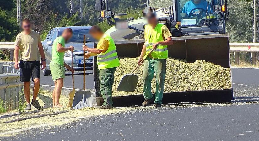Elhagyta rakományát egy traktor hódmezővásárhely közelében – galériával