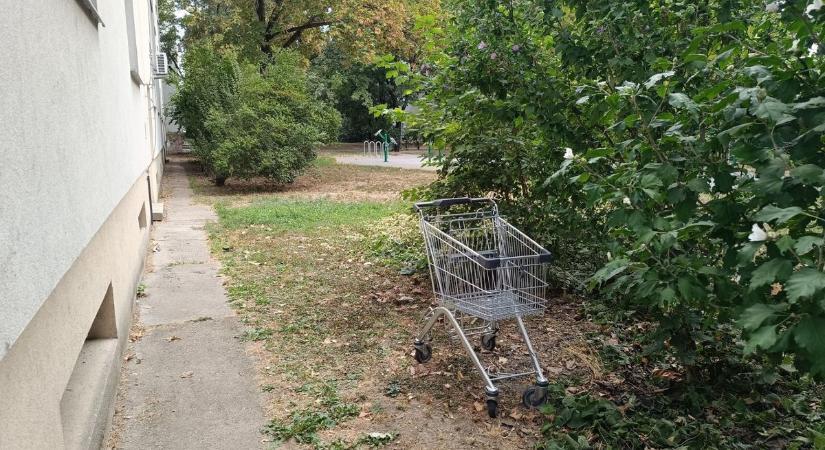 Rejtélyes bevásárlókocsi tűnt fel az óvoda mellett – ki parkolt itt?