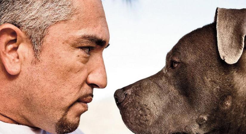 7 dolog, amit a kutyasuttogó Cesar Millantól tanultam