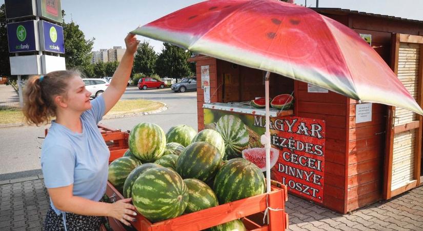 Az idei dinnyeszezon megmutatta: az önellátásunk is veszélybe kerülhet