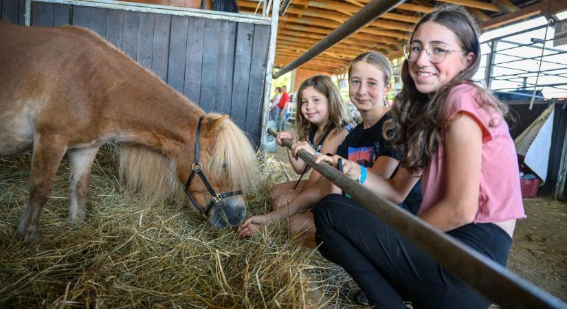 Válságok közt is összefogásra épít a magyar agrárium, elindult a 34. Farmer Expo Debrecenben – fotókkal, videóval