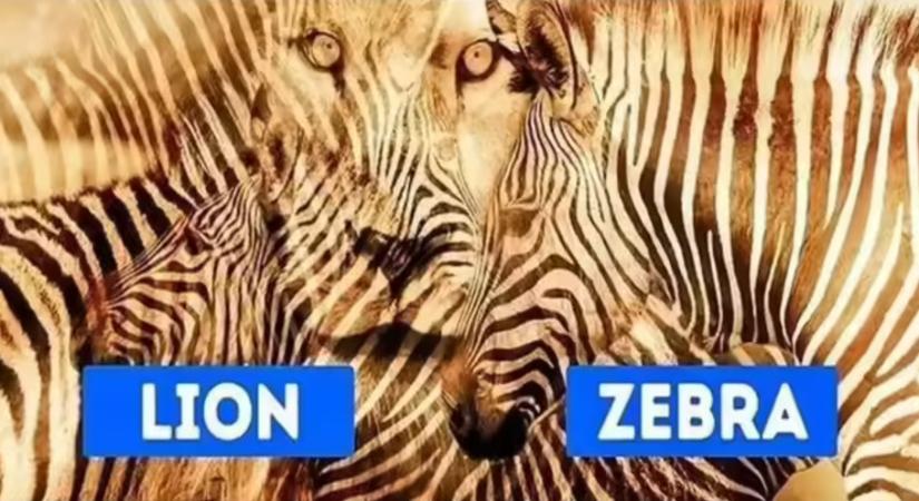 Íme a személyiségteszt, ami felfedi, mennyire vagy félénk