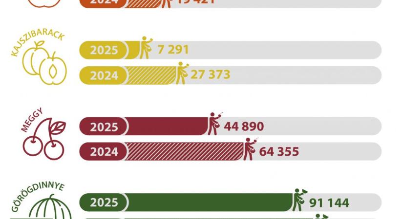 Több mint 70 százalékkal esett vissza az őszibarack termésátlaga idén