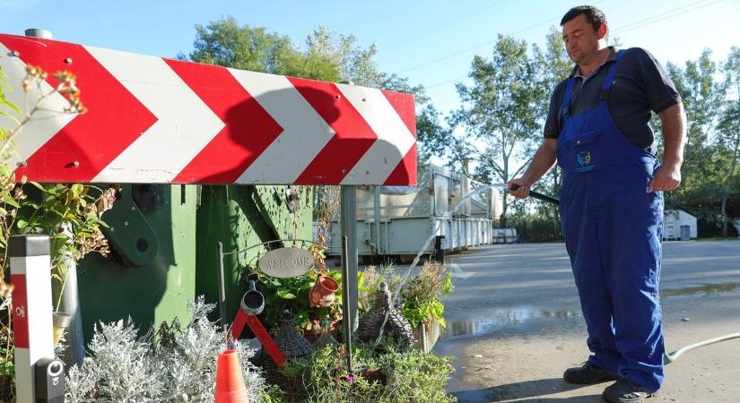 El sem hinnéd, milyen gyűjtemény rejtőzik a szegedi hulladékudvar falai mögött – galériával