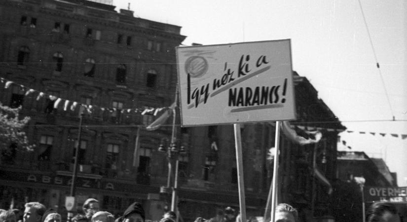 Magyar narancs a Balatonnál