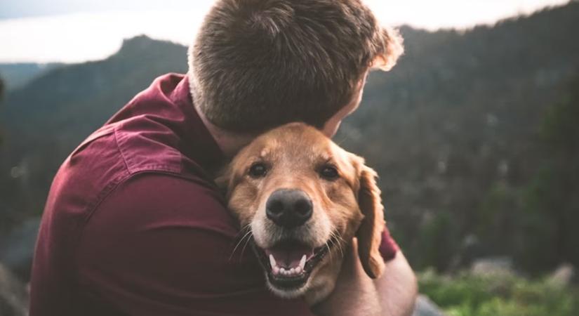 A kutyád beazonosítja, amikor fáradt vagy – és ettől ő is lehangoltabb lesz!