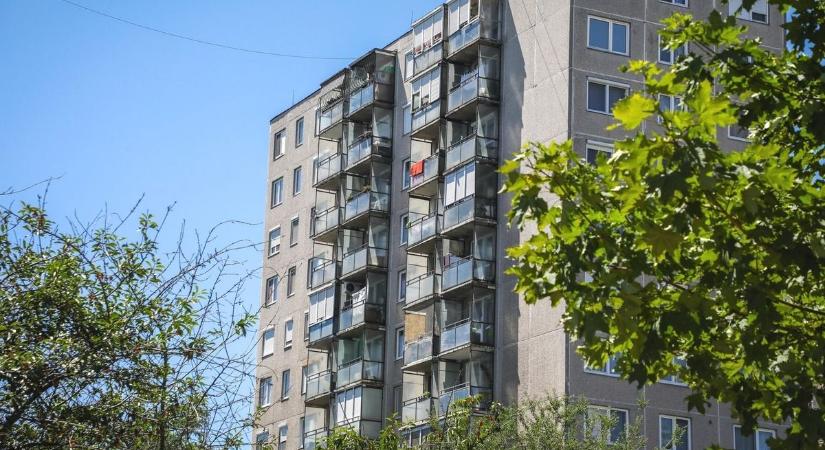 Lehullt a lepel, kedvenc mesefiguránk így néz ki valójában – levideózták éjjel az Avason