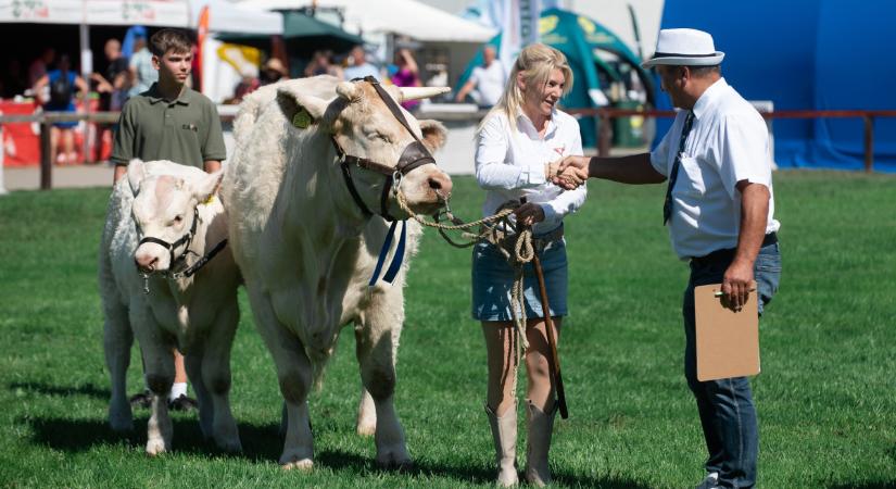 Megnyitott a 34. Farmer Expo Debrecenben