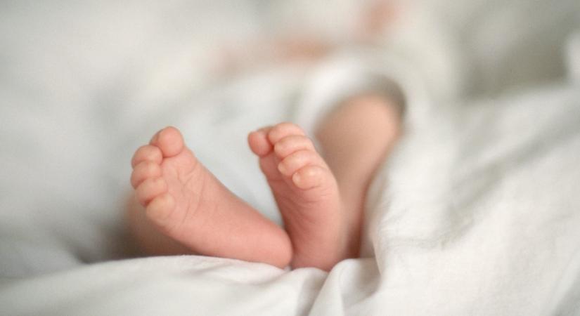 Újszülöttet találtak a székesfehérvári babamentő inkubátorban