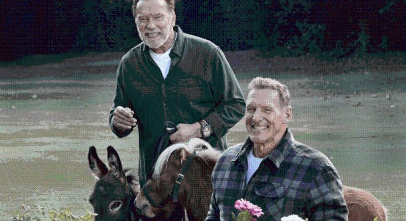 Közös erő: Arnold Schwarzenegger és Ralf Moeller együtt szerepel a PARKSIDE új kampányában