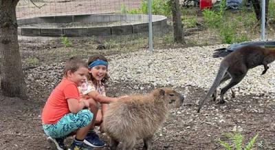 Kapibarával és más egzotikus állatokkal vár a HajdúZoo