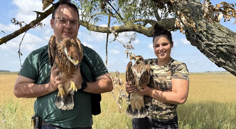 Öt fiatal tölti szakmai gyakorlatát Dévaványán