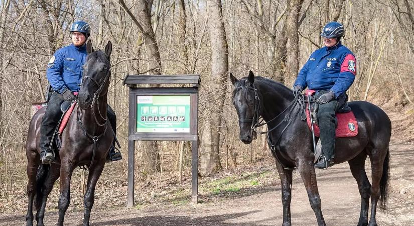 Döntött a magyar város: teljesen kitiltják a munkakerülőket