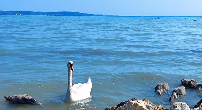 Orbán Viktor aláírta: a Balaton parti sávja szigorúbb védelmet kap
