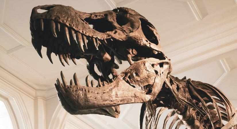Itt a világ legfurcsább dinoszaurusza