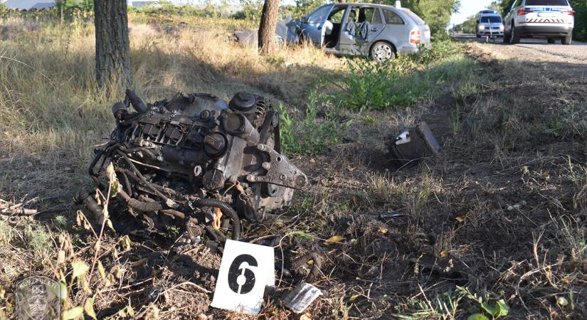 Fának csapódott egy autós Battonyán – határvadászok segítettek a sofőrnek