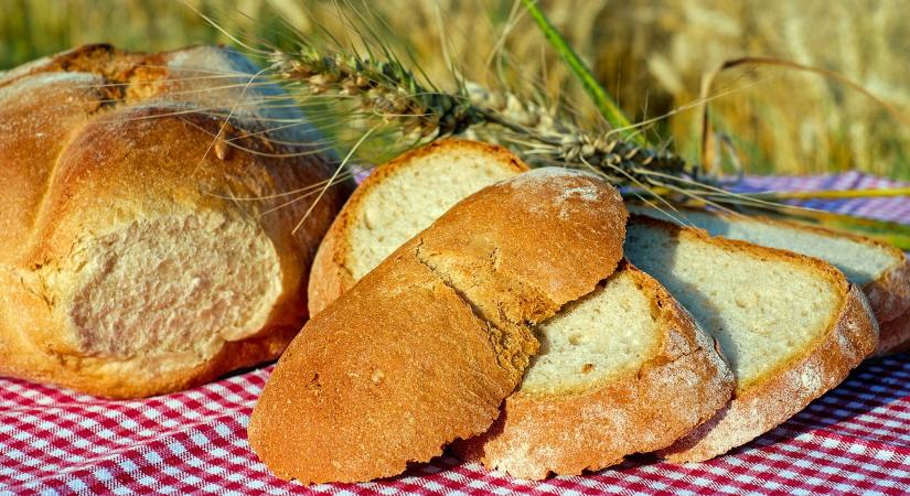 Szlovákia: bőséges termés, de áremelkedéstől tartanak a pékek