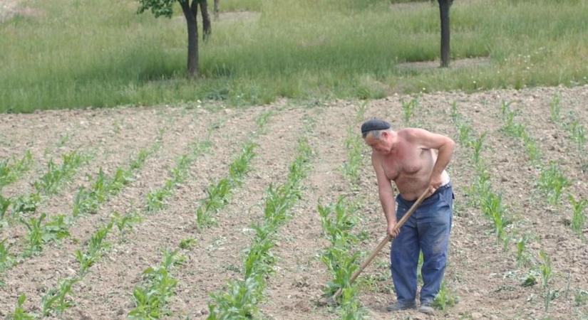 Kevés a pénzed, de nyugalomra vágysz? Ezért kapósak mostantól a zártkertek