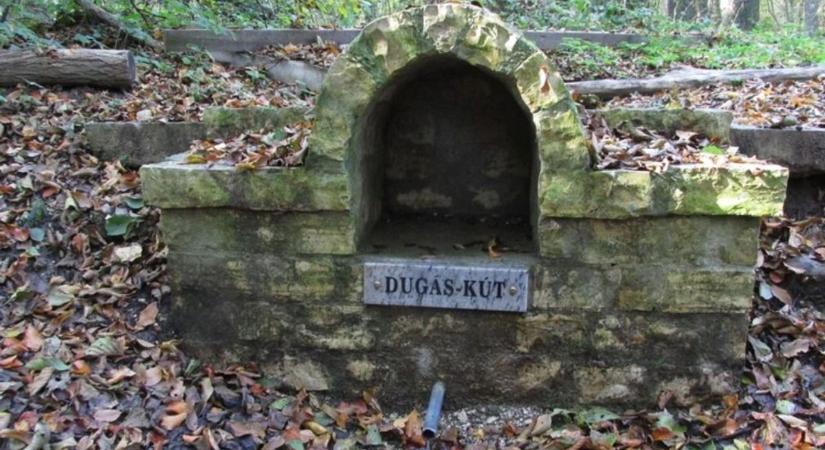 Sorscsapás: elapadt a magyar vármegye leghíresebb forrása, kiszáradhat egy tó – megszólalt az erdészet