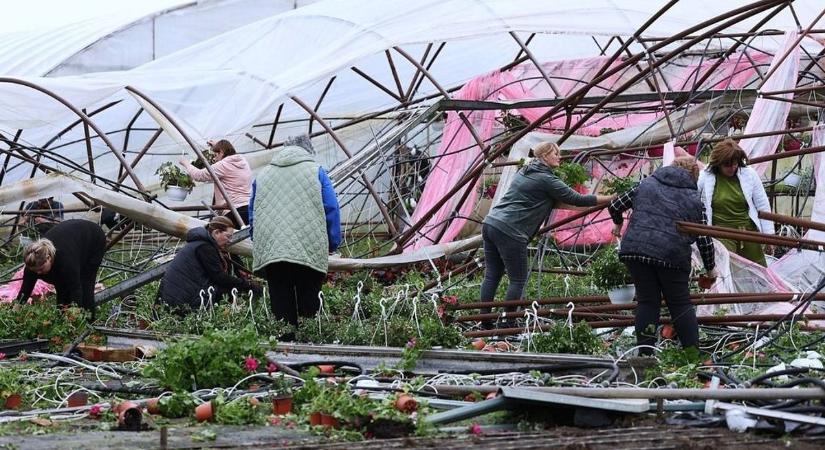 Kvíz: felismered az időjárás legpusztítóbb jelenségeit?