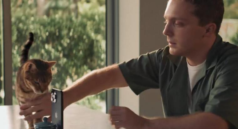 A Samsung szerint már a macskák is a Galaxy Z Fold7-et választanák egy iPhone helyett