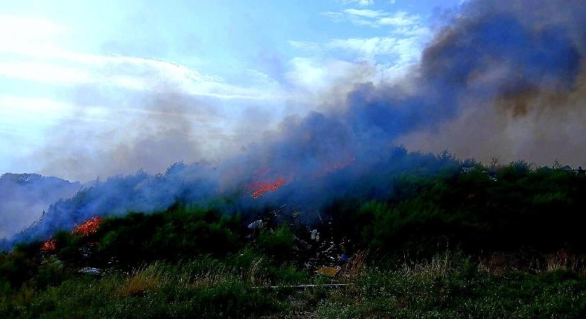 Albárnál hulladéklerakó ég, a tűzoltók nagy erőkkel küzdenek a lángokkal