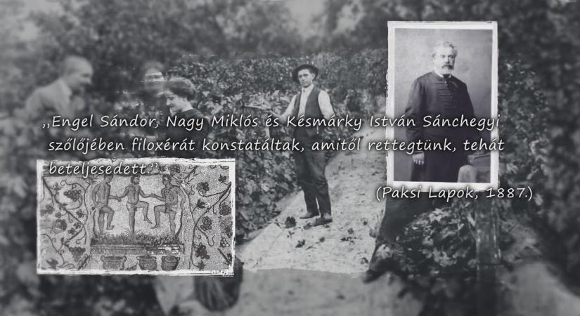Az eltűnt városkép nyomában – A paksi borok és a siller I. rész