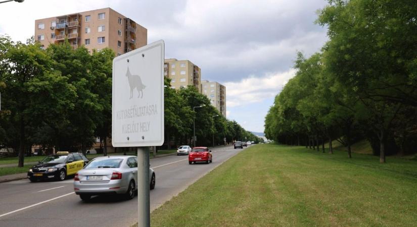 Tudja, hogy mi a miskolci Zöld Kör? Ennek örülni fognak az autósok - képekkel, videóval