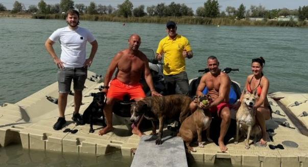 Noé-s mentett kutyusok strandoltak a Jet Power Hungary jet-ski taván