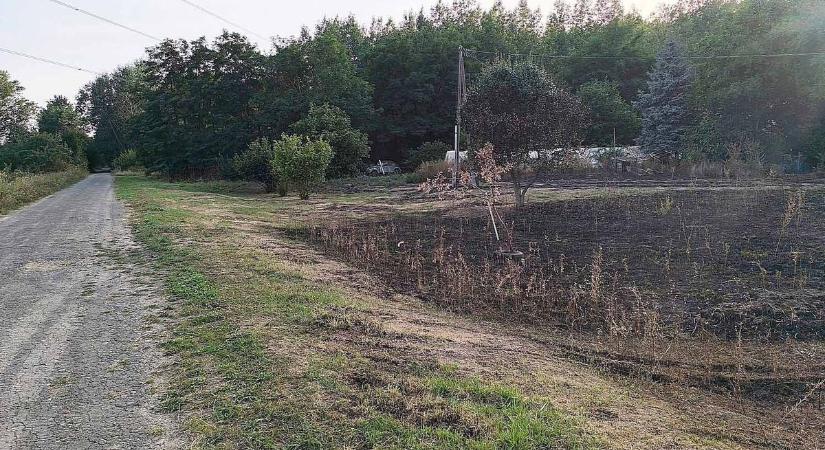 Tűz keletkezett Algyő közelében, egy tanya épülete is veszélyben volt