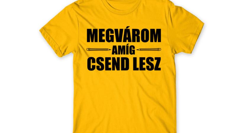 Egyedi póló ötletek tanévkezdésre tanároknak