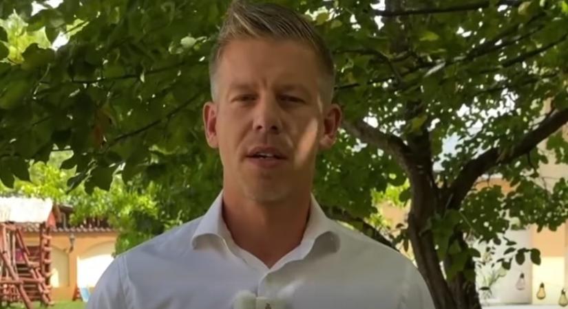 Magyar Péter bemutatta a Tisza adópolitikai elképzeléseit