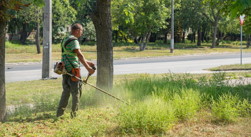 Az allergiások ma nem lélegezhetnek fel. Pollenjelentés