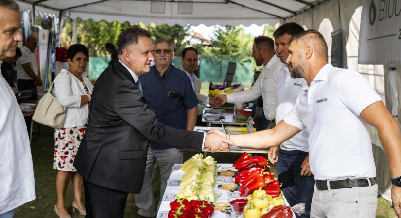 Az együttműködés és az újítások erősíthetik a hazai kertészetek helyzetét