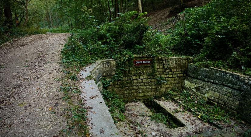 Szellemfalu és rejtélyes várrom csalogat az erdőbe: felfedezetlen kincseket rejt a Vértes és a Gerecse