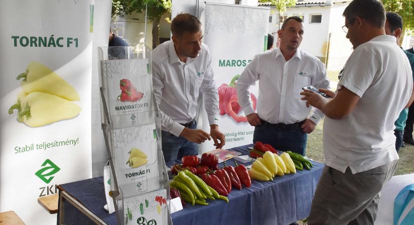 Kihívások mellett lehetőségeket is rejt a kertészeti ágazat, így növelhetik versenyképességüket a termelők – galéria