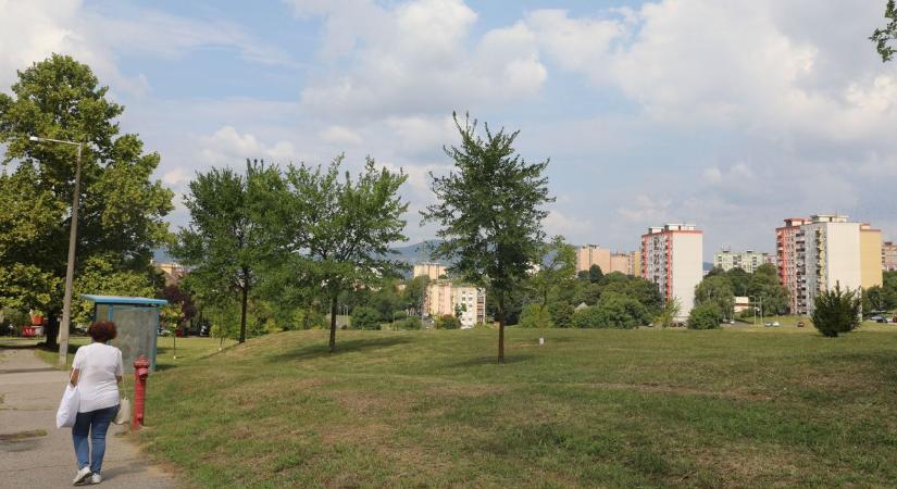 Féltik a kertvárosiak a kutyafuttatójukat, de van mitől?