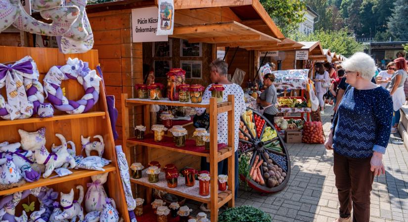 Megmutatják magukat a borsodi települések