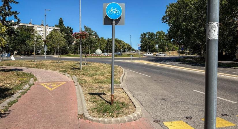 Az anya még lekapta a 4 éves kislányt a bicikliről, mielőtt a mindig mosolygós édesapa összeesett
