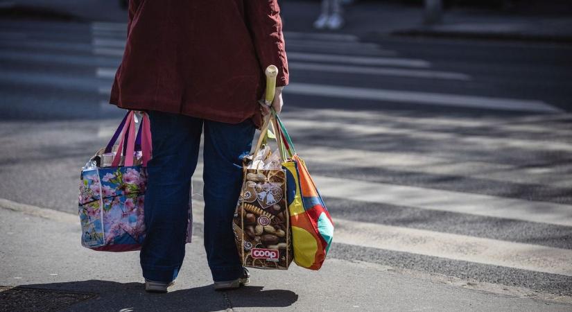Durva! Skorpió került elő egy bevásárlószatyorból!