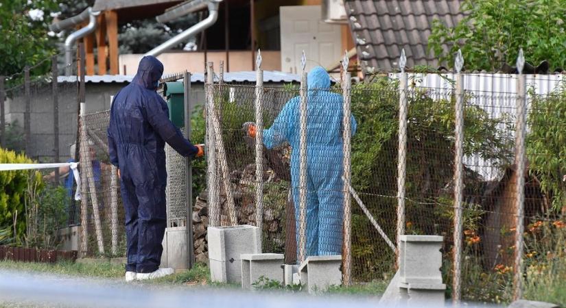 Végzett feleségével, majd a halott kislánya mellé tett plüssökkel búcsúzott