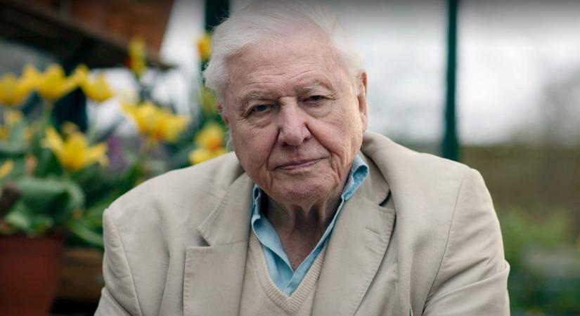 A természet csodái visszatérnek – Őszi vasárnapok David Attenborough társaságában a Dunán