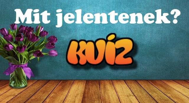 Kvíz: Tudod mit jelent az iskátulya, vagy a platni? Megbirkózol ezekkel a régi szavakkal?